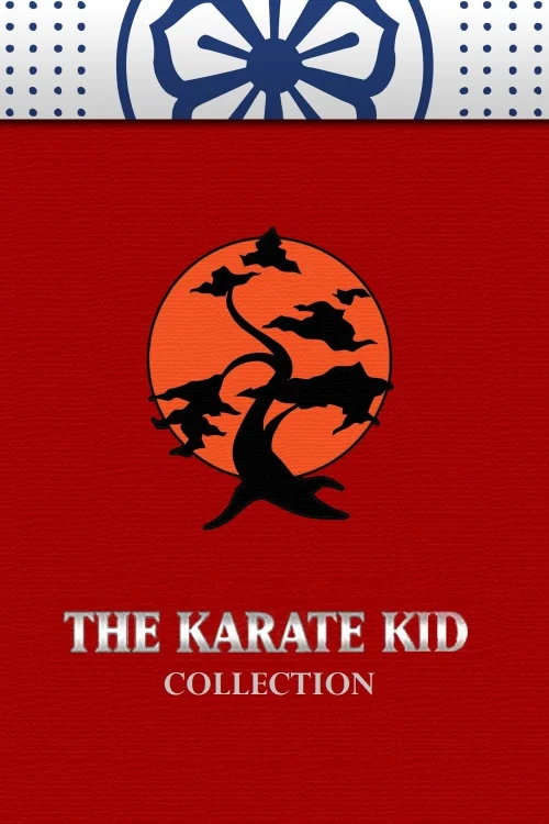 Karateci Çocuk [Seri]